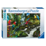 Ravensburger Bonte parrots in the jigsaw puzzle, 2000st.