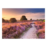 Ravensburger – legpuzzel – 1000 stukjes – 70 x 50 cm