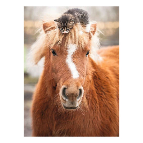 Ravensburger Jigsaw Puzzle Pony and Cat - 500 pieces.
