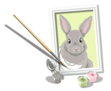 Ravensburger Crecr Maluce według numeru - Grey Rabbit
