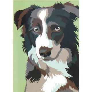 Nassau fine art paint by number dog