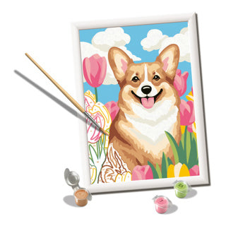 Ravensburger creart боя по номера - цветно корги