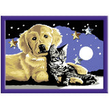 Ravensburger paint by number beautiful starry sky