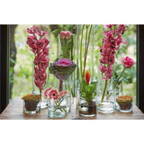 B-living cylinder vase glass ø12xh20cm
