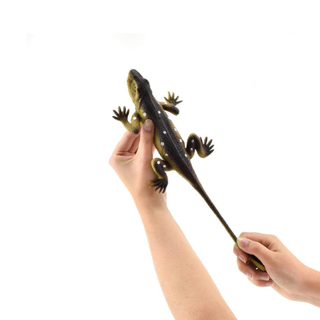Toi-toys plazilec, realističen na kartici