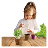 Kidscovery Kidscovery Experiment Herb Garden Set S