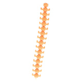 Jono toys fluffy stretchy fidget caterpillar