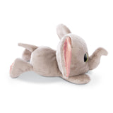 Nici Glubschis Pluchen Cuddly Cuddly slon Billi-Balu, 25 cm