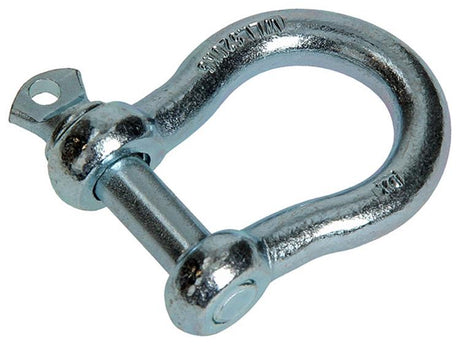 Mack 1008531 - 1 calf oval 12mm galvanized | 10 pieces