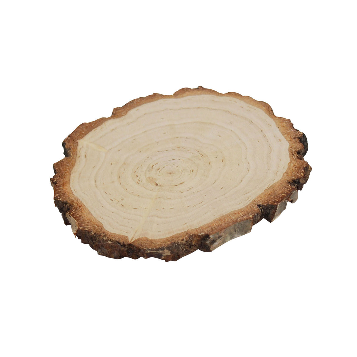 Berkenhout de Playwood Tree, Ø 13-15cm