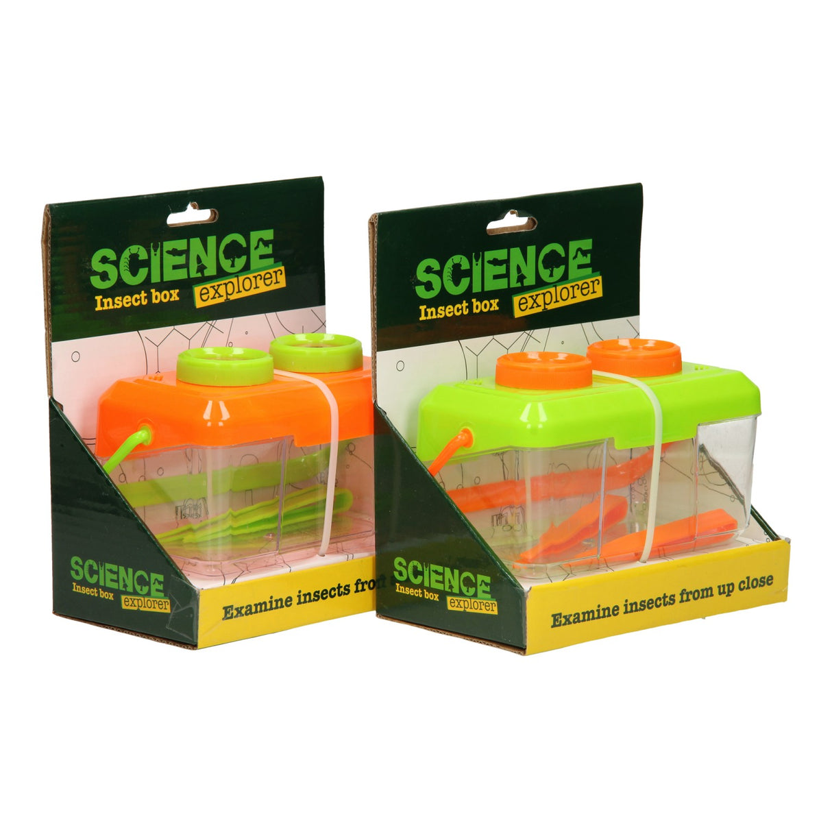 Johntoy Science Explorer InsectsBox