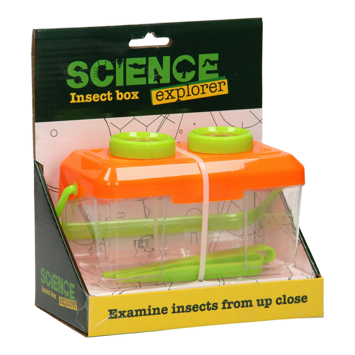 Johntoy Science Explorer InsectsBox