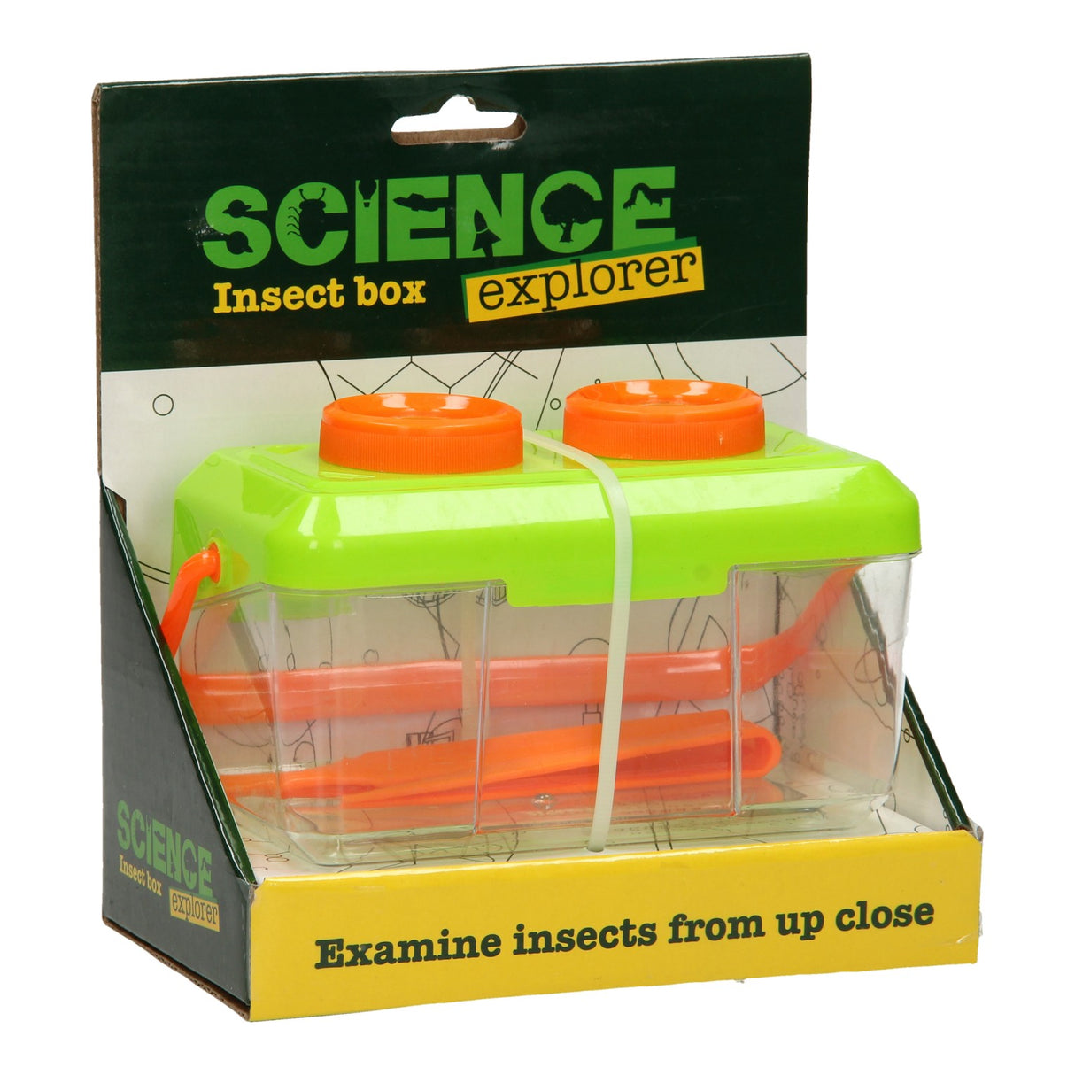 Johntoy Science Explorer InsectsBox