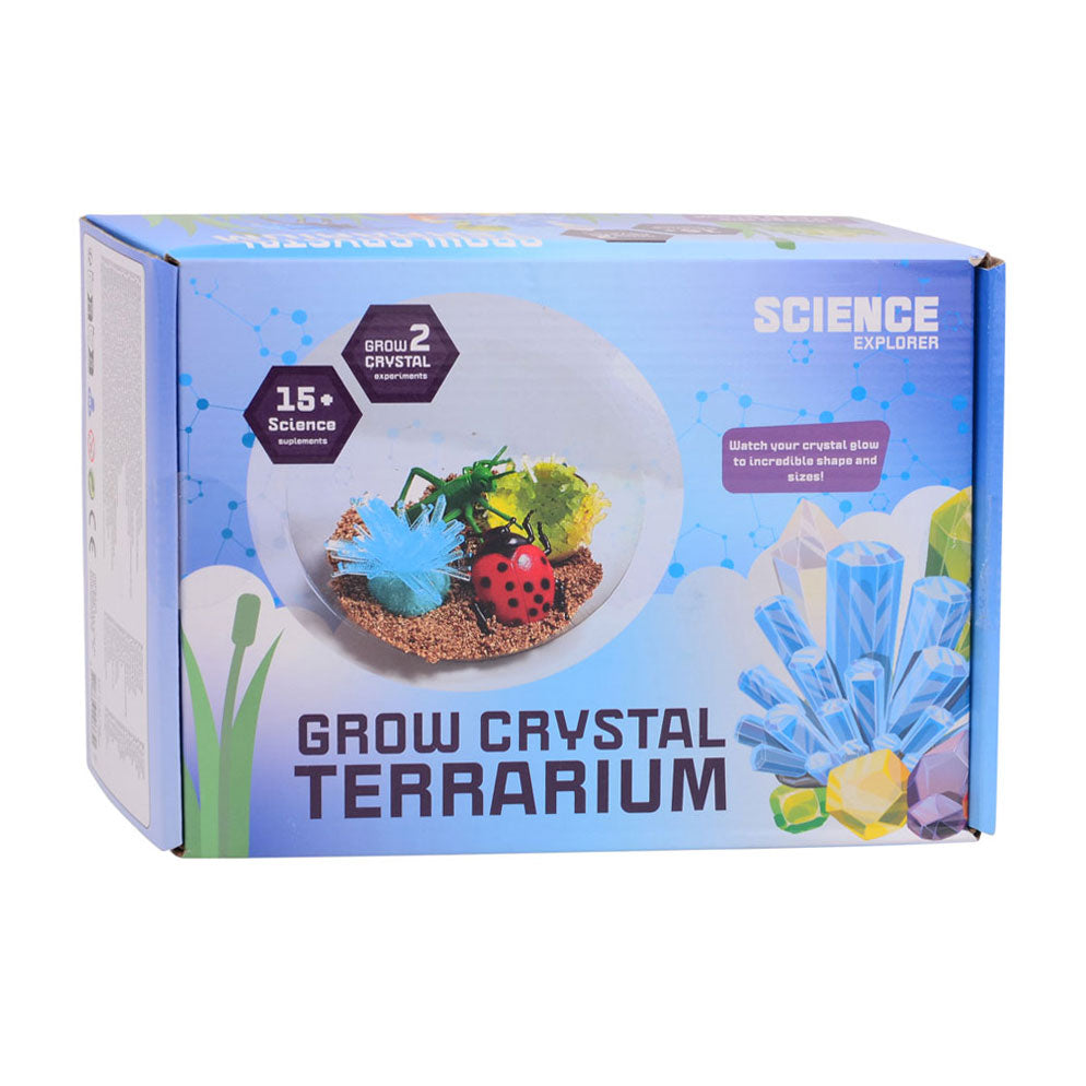 Science Explorer fait votre propre terrarium en cristal