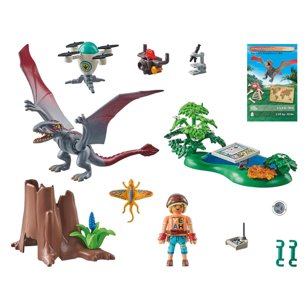 Playmobil Dinos Observation Post pour Dimorphodon 71525