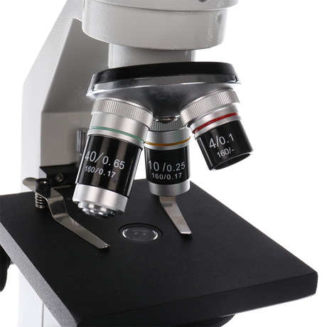 Byomic Study Mikroskop BYO-30
