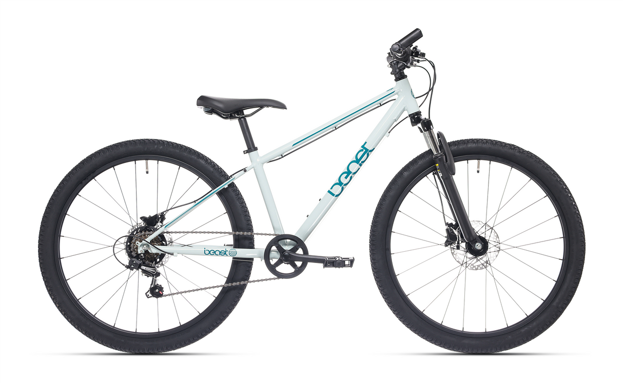 Bicicleta infantil Bikefun fera de 26 polegadas com shimano 6 marchas e freios a disco - ervas marinhas