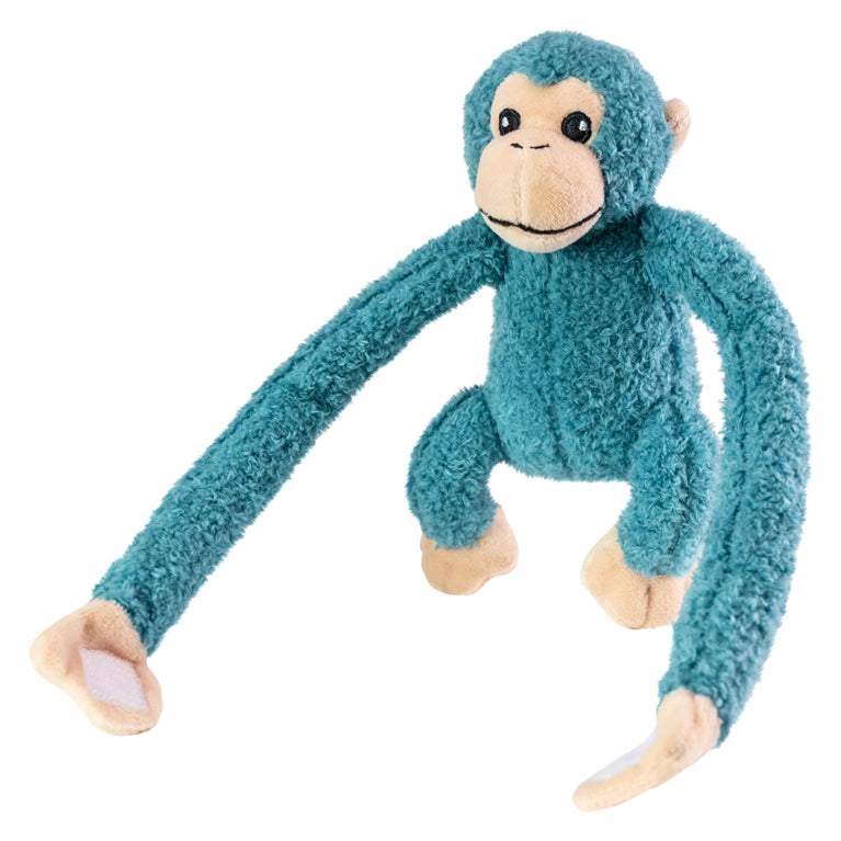 Tactic mates hug monkey blue