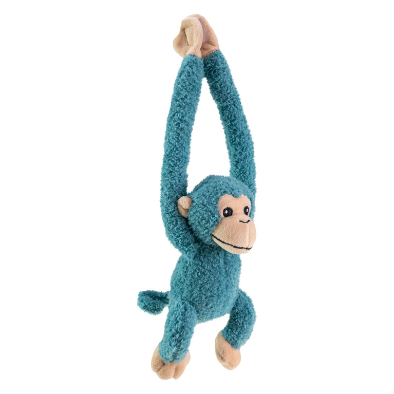 Tactic mates hug monkey blue