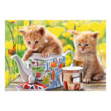 Castorland jigsaw puzzle Tea Time, 500 pcs.