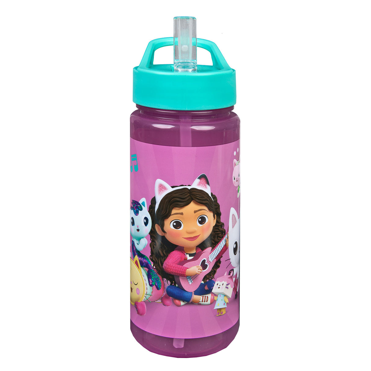 Név nélküli, márka nélküli gabby #039; S Dollhouse ivópalack 500 ml rózsaszín-zöld
