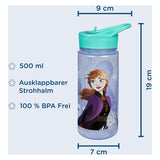 Undercover Areo Drinkfles Frozen, 500ml