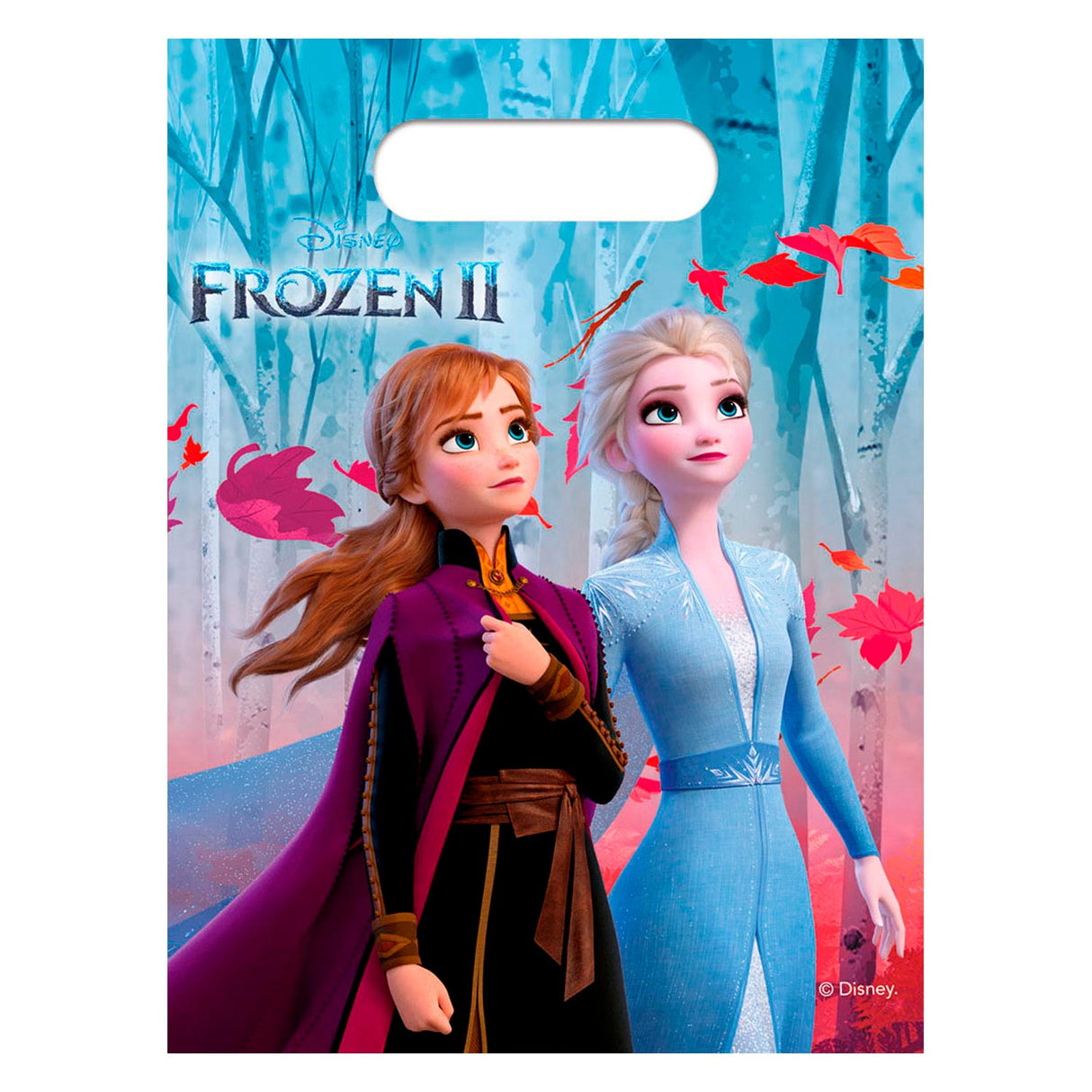 Disney Frozen 2 Division Bags, 6 ..