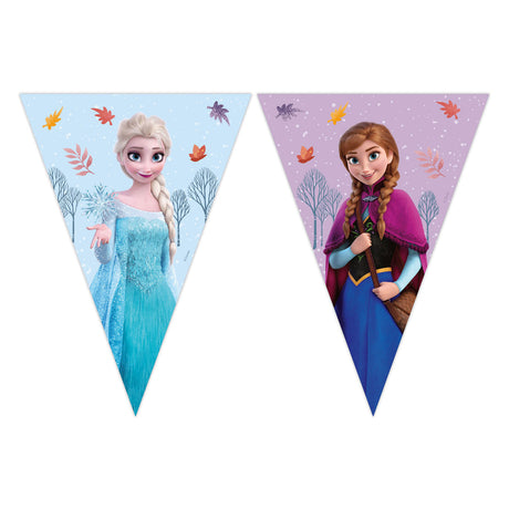 Globos paper flag garland Frozen idyllic wonder