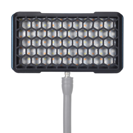 Diffuseur Falcon Eyes + nid d'abeille f7-df+hc pour pockelite f7