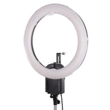 Falcon Eyes Ring Lampe flc-65 65w + tmb-20z