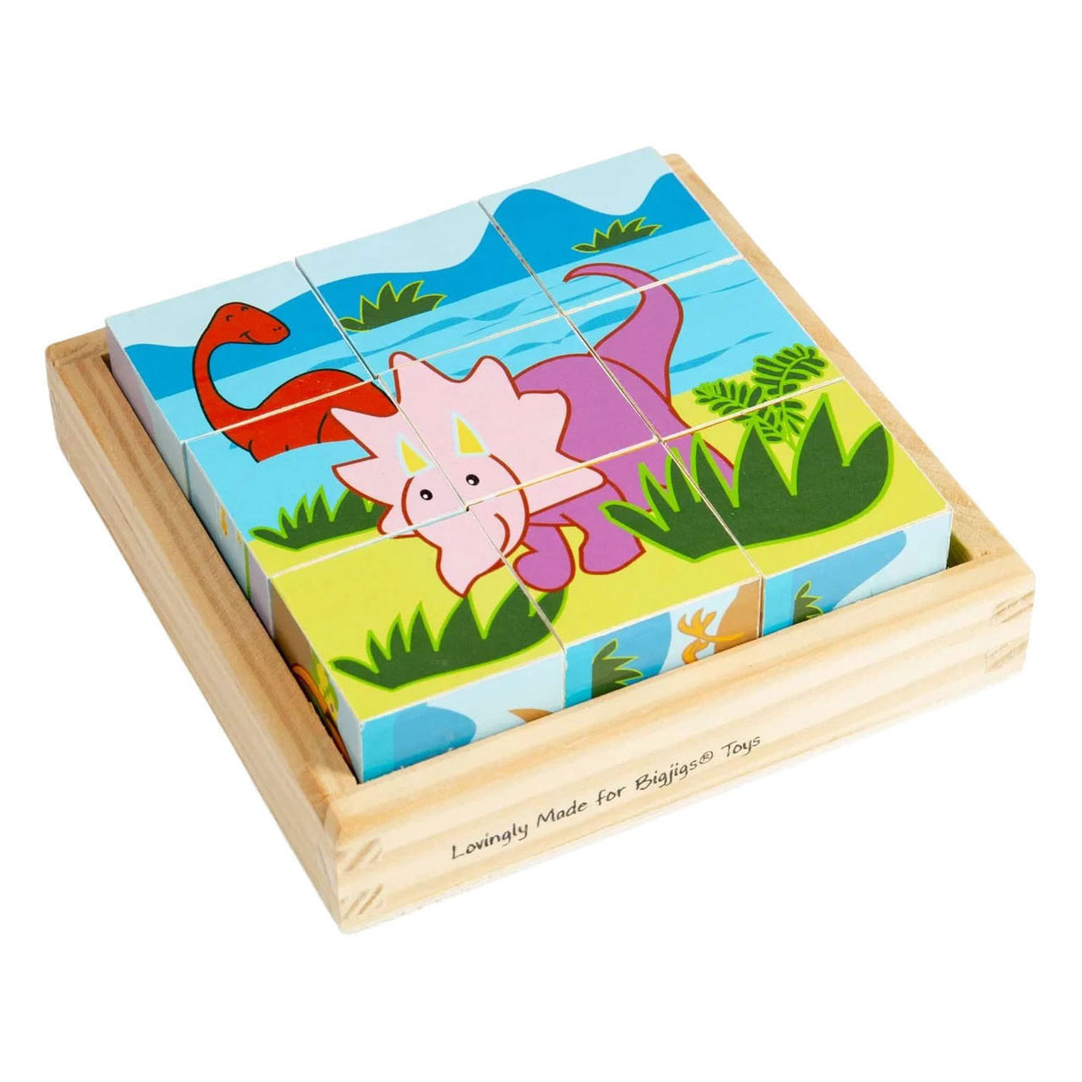 Bigjigs Wooden Dinosaur Block Puzzle - 9 pcs.