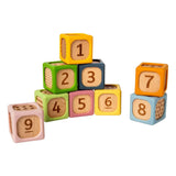 Bigjigs Wooden Soft Sorting Blocks - 9pc.