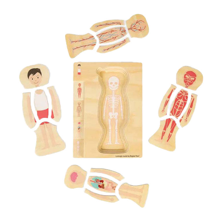 Bigjigs Holz Anatomie Puzzel - Jong, 26 Stéck.