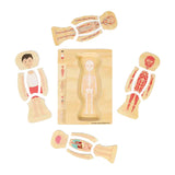 Bigjigs Holz Anatomie Puzzel - Jong, 26 Stéck.