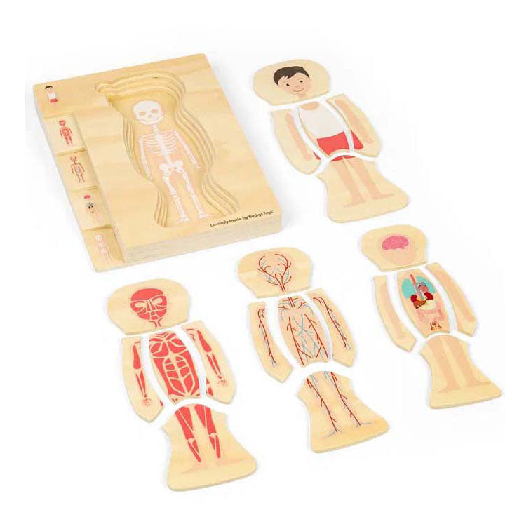 Bigjigs Holz Anatomie Puzzel - Jong, 26 Stéck.