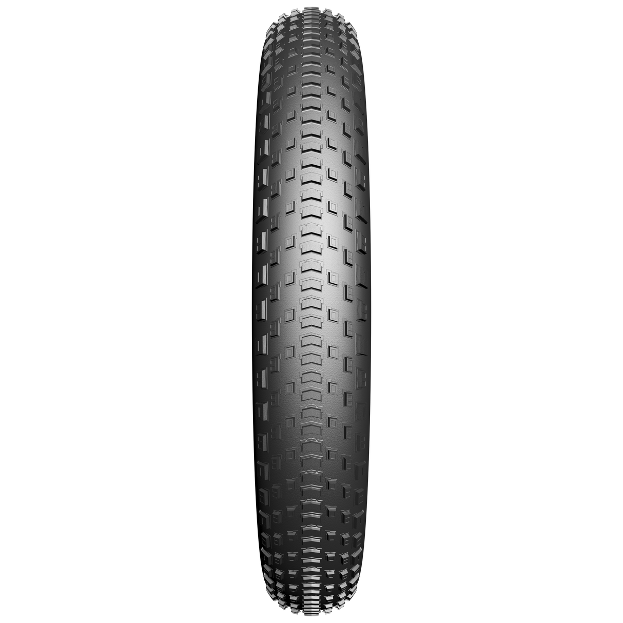 Edge Tire Fatbike Fat Bst Protect 20 x 4,00 100-406mm svart