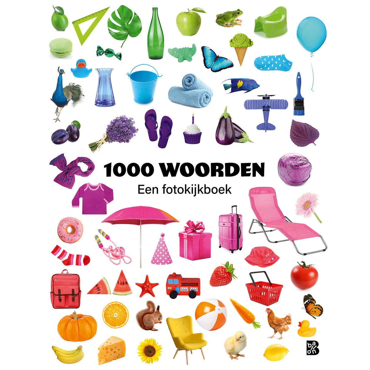 Standard publishing photo viewing book - 1000 words