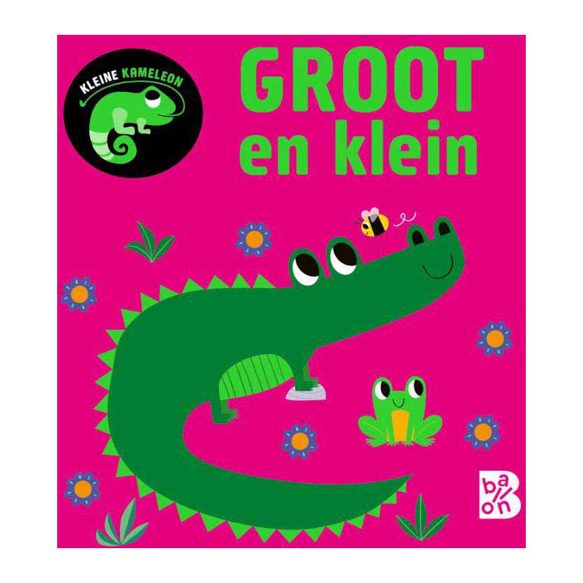 Foilsitheoir caighdeánach chameleon beag - mór agus beag 12m+
