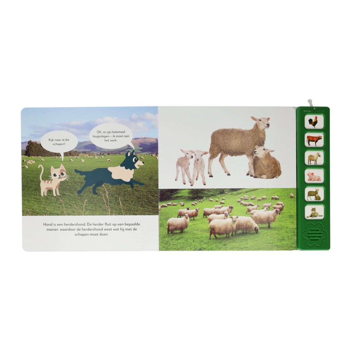 Mondi cards listen to farm animals sounds book