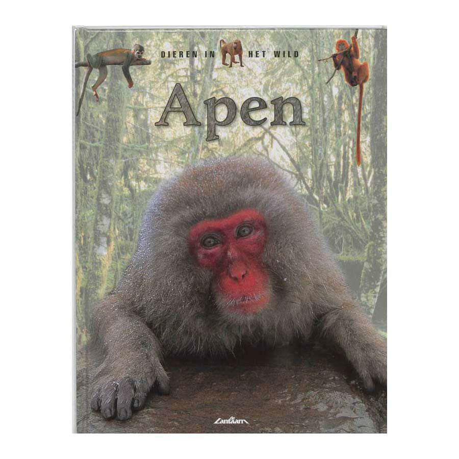 Lantern publishers wildlife - monkeys