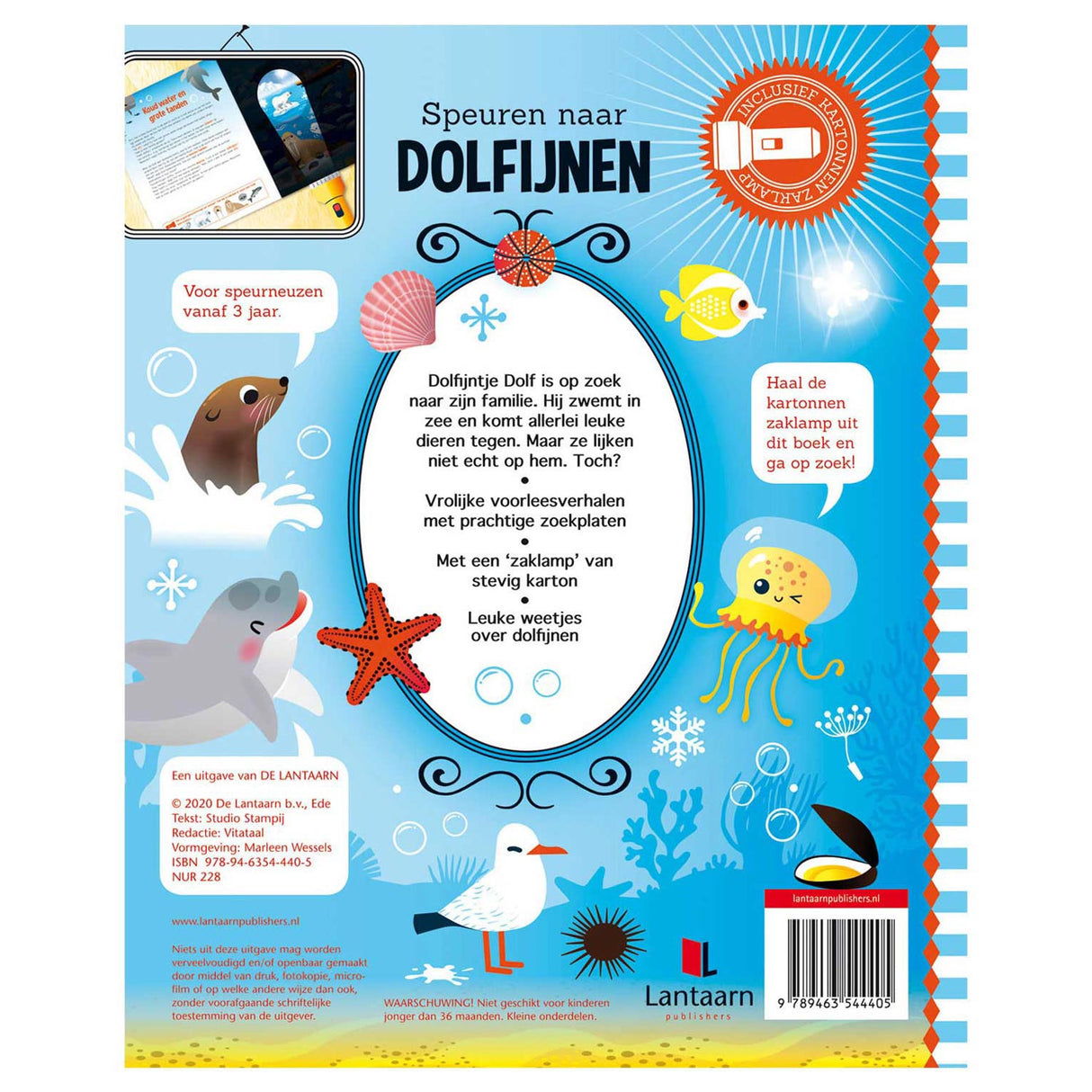 Searching for dolphins + cardboard flashlight