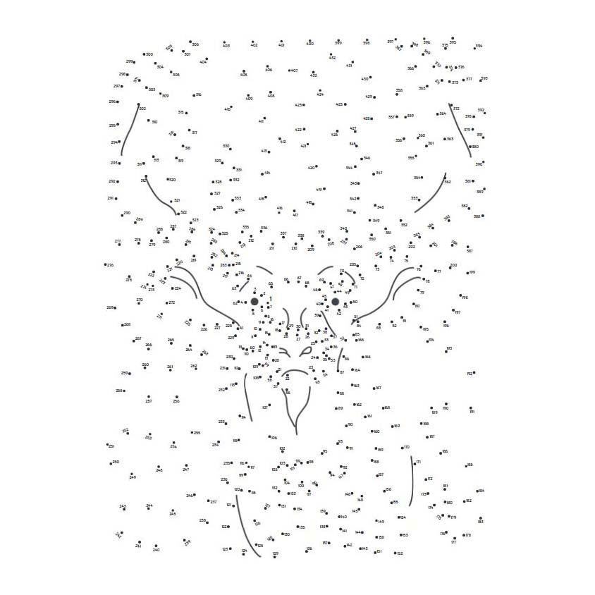 Lantern publishers extreme dot to dot - forest animals
