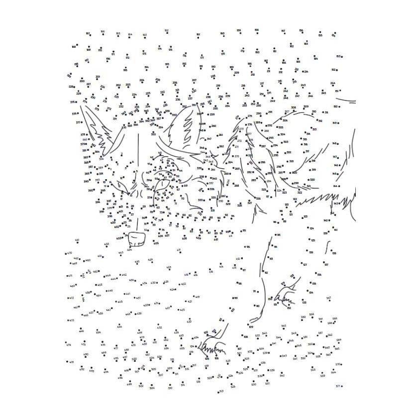Lantern publishers extreme dot to dot - forest animals