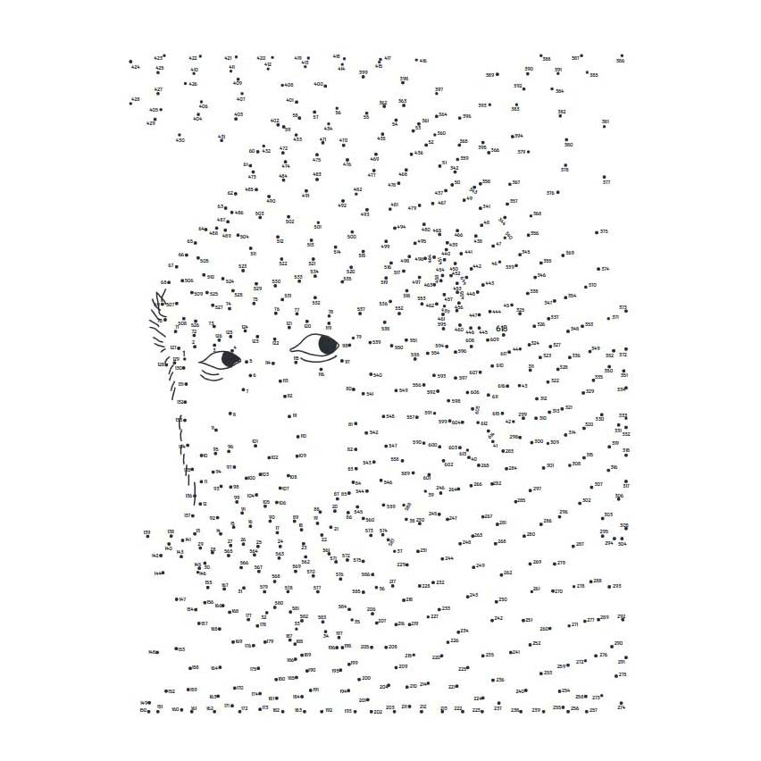 Lantern publishers extreme dot to dot - animals