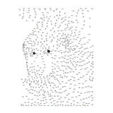 Lantern publishers extreme dot to dot - animals