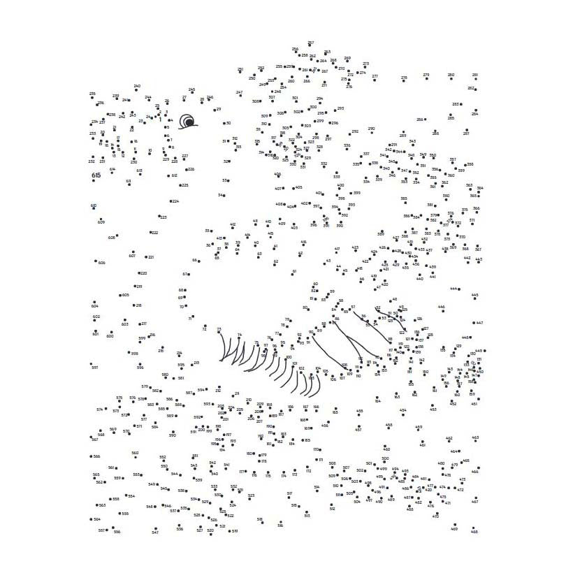 Lantern publishers extreme dot to dot - animals