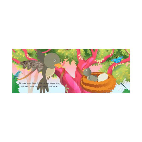 Lantern publishers look and feel - nature picture book