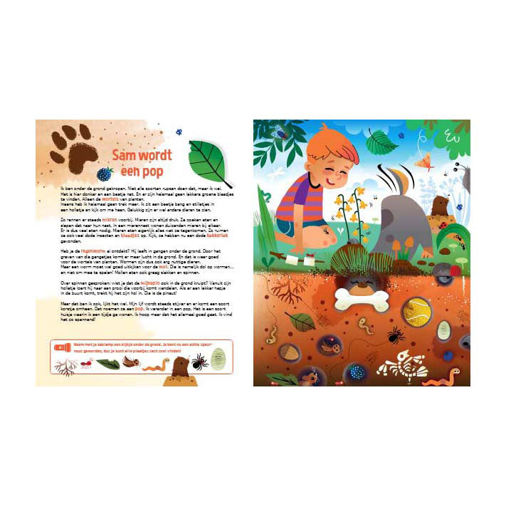 Lantern publishers flashlight book - searching for insects