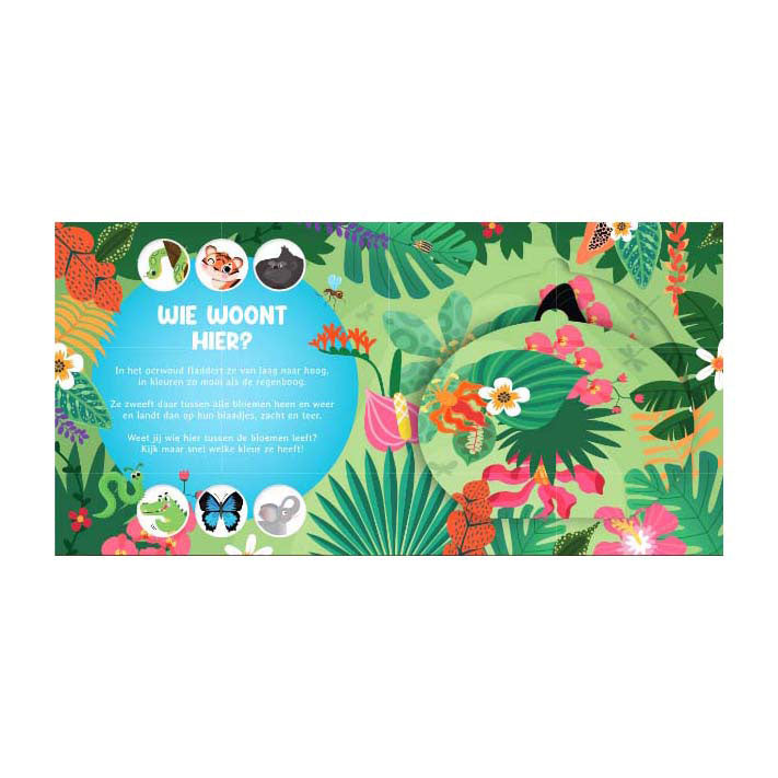 Lantern publishers who lives here? in the jungle flap book