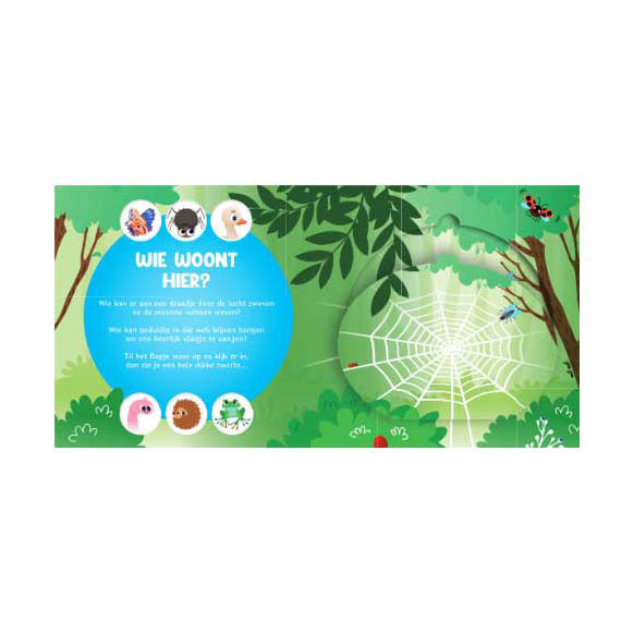 Lantern publishers who lives here? in nature flap book